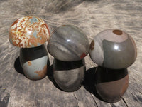 Polished Polychrome / Picasso Jasper Mushrooms & Palm Stones  x 12 From Madagascar - TopRock