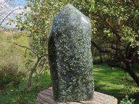 Polished Giant Stromatolite Standing Leaf Sculpture x 1 From Mahajanga, Madagascar - TopRock