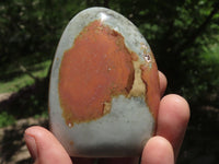 Polished Polychrome / Picasso Jasper Mushrooms & Palm Stones  x 12 From Madagascar - TopRock