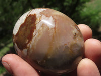 Polished Polychrome / Picasso Jasper Mushrooms & Palm Stones  x 12 From Madagascar - TopRock