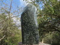 Polished Giant Stromatolite Standing Leaf Sculpture x 1 From Mahajanga, Madagascar - TopRock