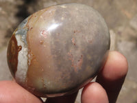 Polished Polychrome / Picasso Jasper Mushrooms & Palm Stones  x 12 From Madagascar - TopRock