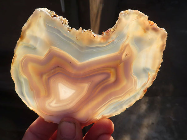 Polished  Highly Selected Agate Slices With Stunning Patterns  x 6 From Madagascar