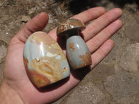 Polished Polychrome / Picasso Jasper Mushrooms & Palm Stones  x 12 From Madagascar - TopRock