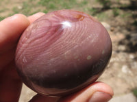 Polished Polychrome / Picasso Jasper Mushrooms & Palm Stones  x 12 From Madagascar - TopRock