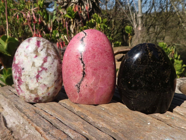 Polished Lovely Trio Of Standing Free Forms  x 3 From Madagascar