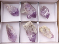 Natural Jacaranda Amethyst Clusters  x 6 From Mumbwa, Zambia - Toprock Gemstones and Minerals 