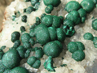 Natural Rare Ball Malachite On Drusy Quartz & Dolomite Matrix  x 1 From Kambove, Congo - Toprock Gemstones and Minerals 