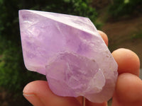 Natural Jacaranda Amethyst Clusters  x 6 From Mumbwa, Zambia - Toprock Gemstones and Minerals 