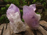 Natural Jacaranda Amethyst Clusters  x 6 From Mumbwa, Zambia - Toprock Gemstones and Minerals 