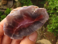 Polished River Agate Nodules  x 6 From Zimbabwe - Toprock Gemstones and Minerals 