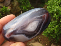 Polished River Agate Nodules  x 6 From Zimbabwe - Toprock Gemstones and Minerals 