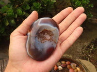 Polished River Agate Nodules  x 6 From Zimbabwe - Toprock Gemstones and Minerals 