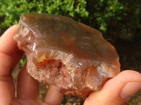 Polished River Agate Nodules  x 6 From Zimbabwe - Toprock Gemstones and Minerals 