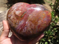 Polished Extra Large Petrified Red Podocarpus Wood Heart  x 1 From Mahajanga, Madagascar - TopRock