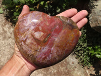 Polished Extra Large Petrified Red Podocarpus Wood Heart  x 1 From Mahajanga, Madagascar - TopRock