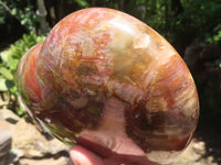 Polished Extra Large Petrified Red Podocarpus Wood Heart  x 1 From Mahajanga, Madagascar - TopRock