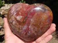 Polished Extra Large Petrified Red Podocarpus Wood Heart  x 1 From Mahajanga, Madagascar - TopRock