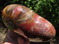 Polished Extra Large Petrified Red Podocarpus Wood Heart  x 1 From Mahajanga, Madagascar - TopRock