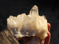 Natural White Quartz Crystal Clusters x 2 From Zambia