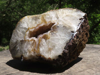 Polished Large Crystal Centred Agate Geode With Carnelian Colouration x 1 From Zululand, South Africa - TopRock