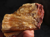 Natural Honey Aragonite Etched & Cobbed Pieces  x 24 From Namibia