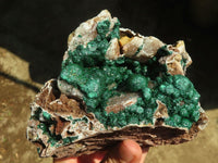 Natural Rare Ball Malachite On Drusy Quartz & Dolomite Matrix  x 1 From Kambove, Congo - Toprock Gemstones and Minerals 