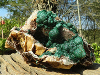 Natural Rare Ball Malachite On Drusy Quartz & Dolomite Matrix  x 1 From Kambove, Congo - Toprock Gemstones and Minerals 