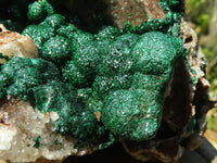 Natural Rare Ball Malachite On Drusy Quartz & Dolomite Matrix  x 1 From Kambove, Congo - Toprock Gemstones and Minerals 