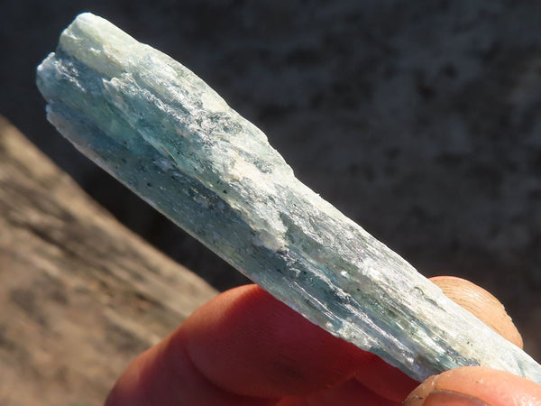 Natural Single Blue Kyanite Crystals  x 58 From Karoi, Zimbabwe