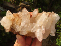 Natural Mixed Quartz Crystal Clusters  x 6 From Madagascar - Toprock Gemstones and Minerals 