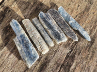 Natural Single Blue Kyanite Crystals  x 58 From Karoi, Zimbabwe