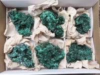 Natural Silky Chatoyant Malachite Specimens  x 6 From Kasompe, Congo - TopRock