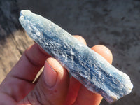 Natural Single Blue Kyanite Crystals  x 58 From Karoi, Zimbabwe