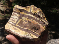 Natural Selected Nguni Jasper Rough Pieces x 6 From Northern Cape, South Africa - TopRock