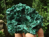 Natural Silky Chatoyant Malachite Specimens  x 6 From Kasompe, Congo - TopRock