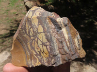 Natural Selected Nguni Jasper Rough Pieces x 6 From Northern Cape, South Africa - TopRock