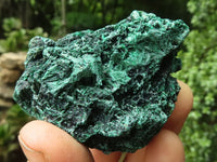 Natural Silky Chatoyant Malachite Specimens  x 6 From Kasompe, Congo - TopRock