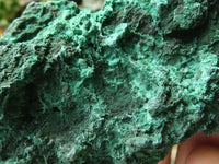 Natural Silky Chatoyant Malachite Specimens  x 6 From Kasompe, Congo - TopRock