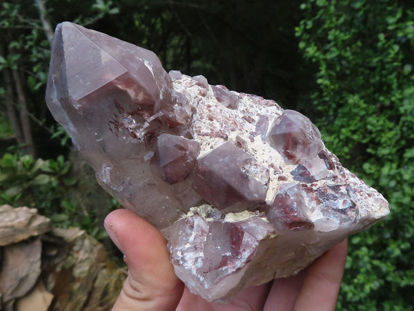 Natural Red Hematite Quartz Clusters  x 2 From Karoi, Zimbabwe - TopRock