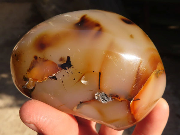 Polished One Side Polished Agate Nodules x 6 From Madagascar