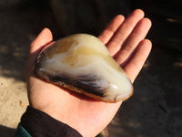 Polished One Side Polished Agate Nodules x 6 From Madagascar