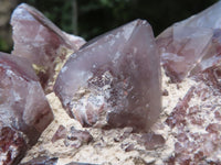 Natural Red Hematite Quartz Clusters  x 2 From Karoi, Zimbabwe - TopRock