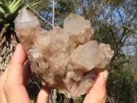 Natural Cascading White Phantom Smokey Quartz Clusters  x 3 From Luena, Congo - Toprock Gemstones and Minerals 