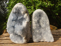 Polished Blue Celestite Standing Free Forms  x 2 From Sakoany, Madagascar - Toprock Gemstones and Minerals 