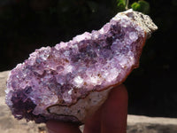 Natural Amethyst & Crystal Centred Geodes  x 12 From Zululand, South Africa - TopRock