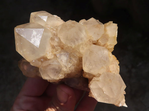 Natural Cascading White Phantom Smokey Quartz Clusters  x 3 From Luena, Congo - Toprock Gemstones and Minerals 