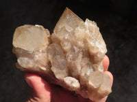 Natural Cascading White Phantom Smokey Quartz Clusters  x 3 From Luena, Congo - Toprock Gemstones and Minerals 