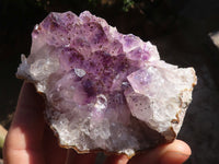 Natural Amethyst & Crystal Centred Geodes  x 12 From Zululand, South Africa - TopRock