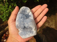 Polished Blue Celestite Standing Free Forms  x 2 From Sakoany, Madagascar - Toprock Gemstones and Minerals 